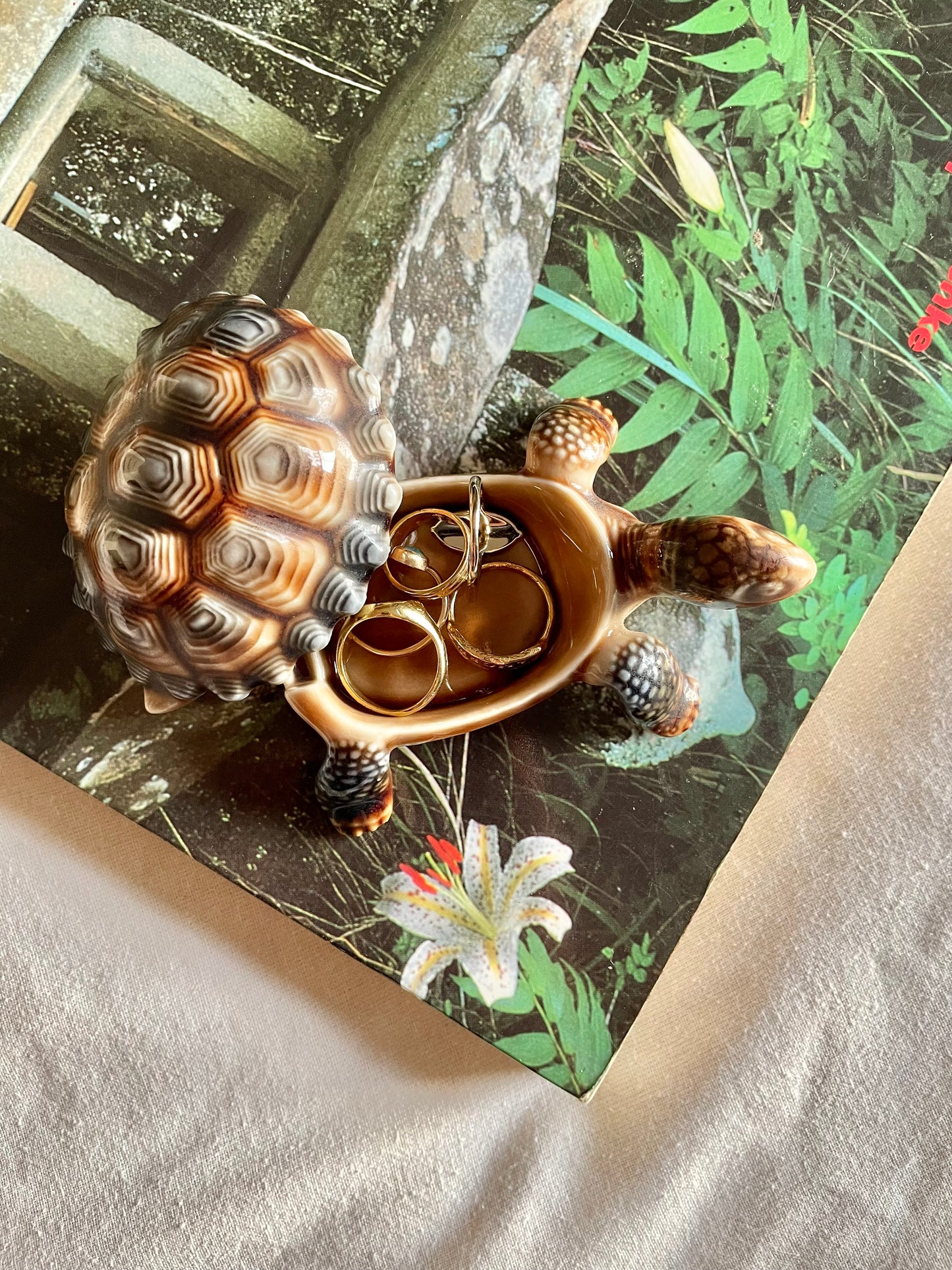 Wade Tortoise Pot