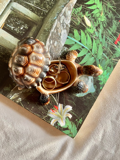Wade Tortoise Pot