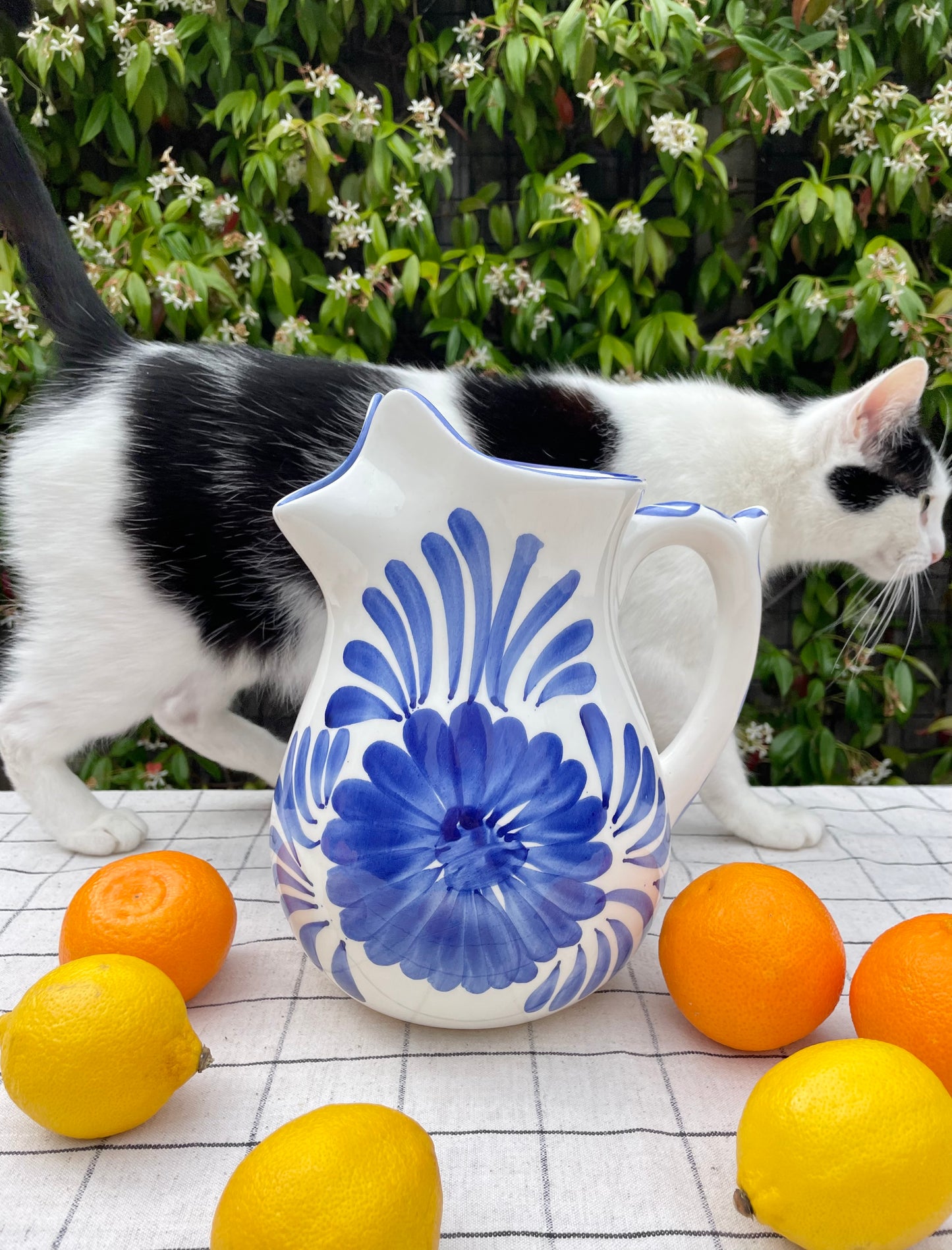 Blue & White Spanish Jug