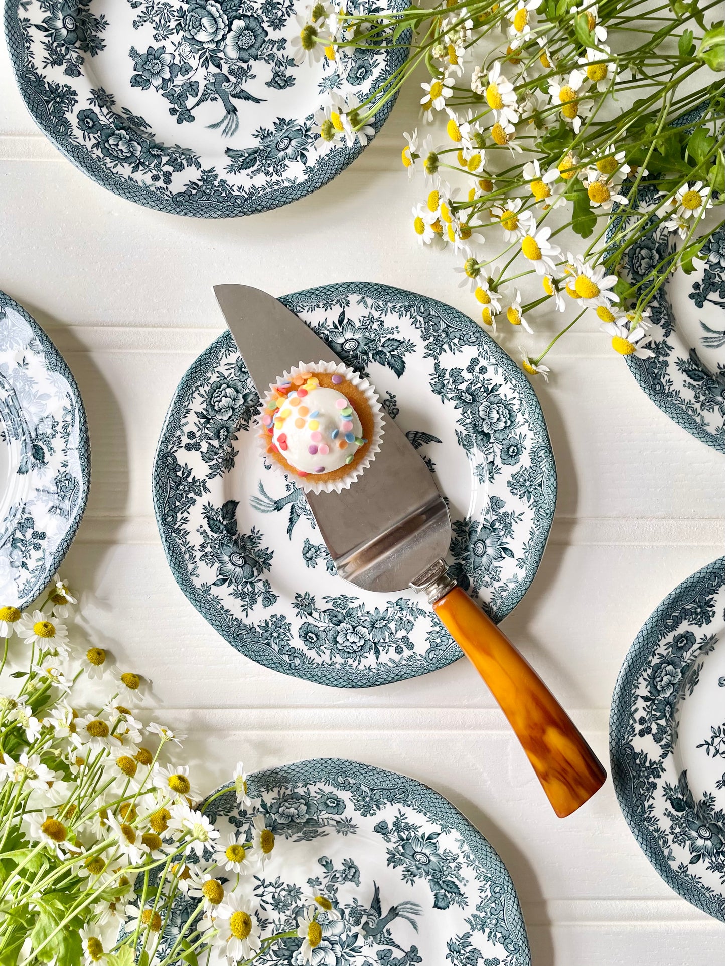 Cake Knife