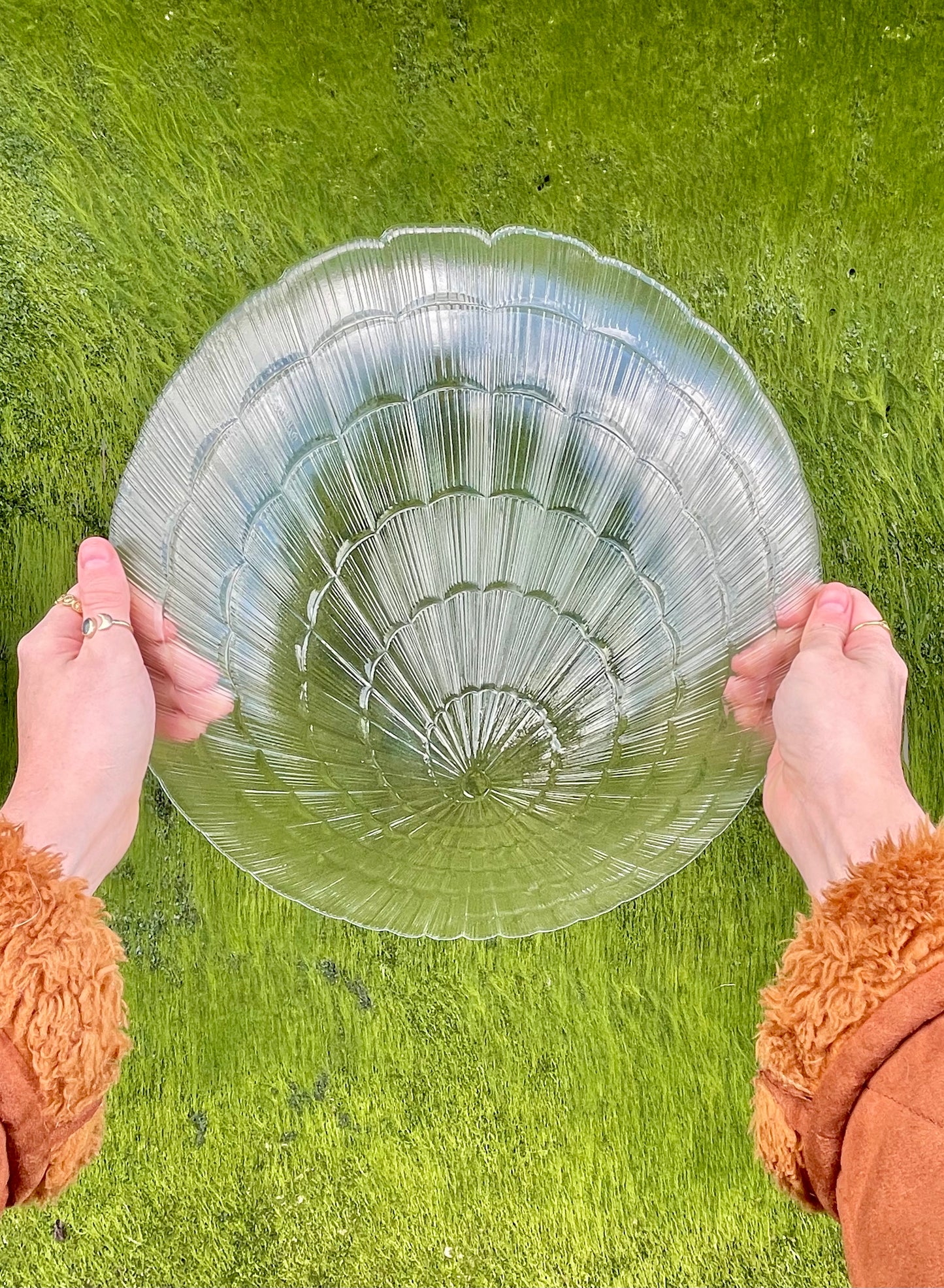 Large Glass shell dish