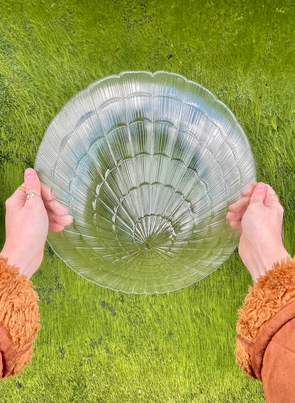 Large Glass shell dish