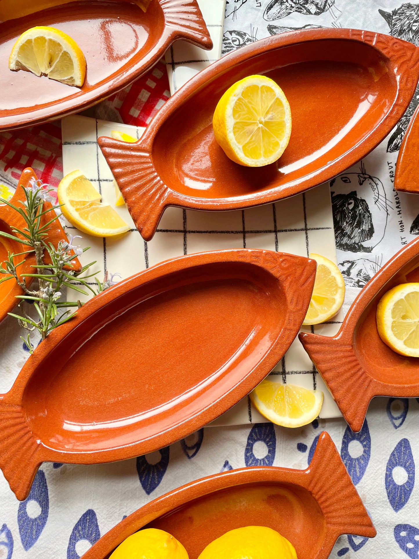 8-piece set of terracotta fish serving dishes
