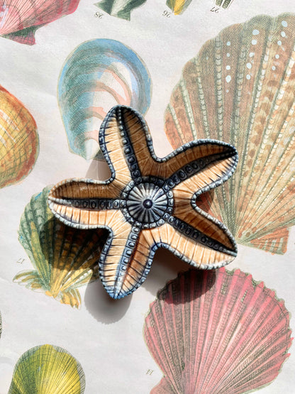 Wade Starfish ⭐️